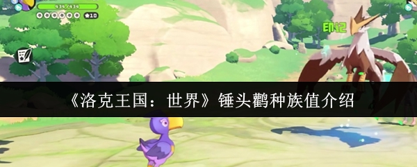 洛克王国世界锤头鹳的种族价值如何?