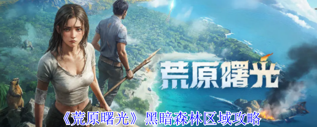 荒原黎明黑暗森林区域策略