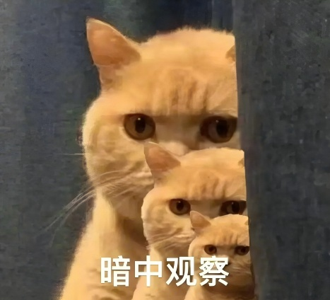 千里“绿”锁万里沙海,新“即将实现奇迹 这个“中国奇迹”就是