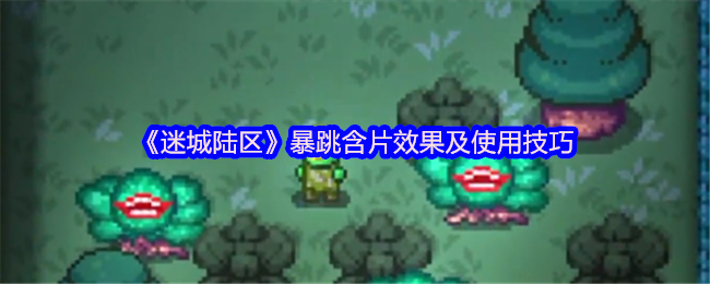 迷城陆区大力丸效果及使用技巧