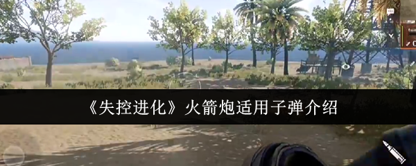什幺子弹适用于失控进化火箭炮?
