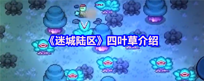 迷城陆区四叶草怎么介绍