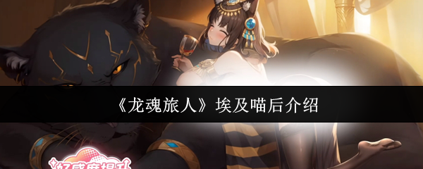 龙魂旅行者埃及喵喵之后怎么样