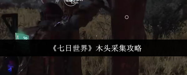 如何收集七天的世界木材