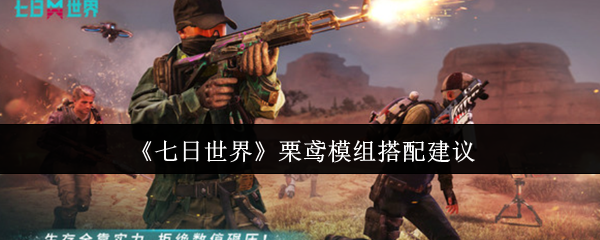 七天世界栗虹膜模块如何搭配