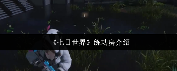 七天的世界练习室是什么?