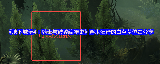 地下城堡4:分享骑士和破碎编年史浮木沼泽白茶草的位置