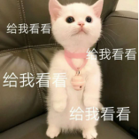拉格朗日艾格勒姆星域全面开放,神船白嫖和安全区新收入上线
