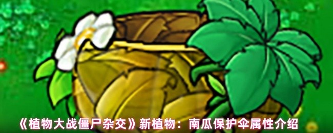 植物战僵尸杂交南瓜伞有什么用