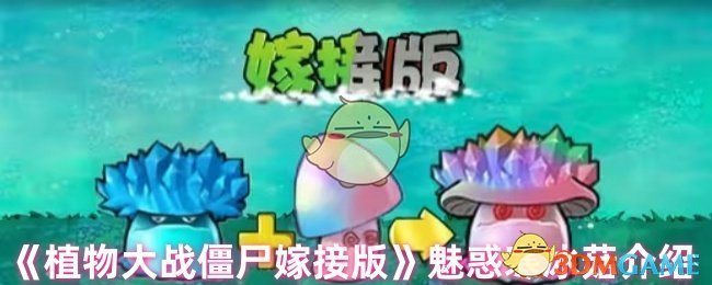 植物战僵尸嫁接版魅力冷蘑菇