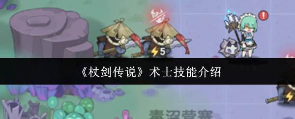 杖剑传说中的术士技能怎么样