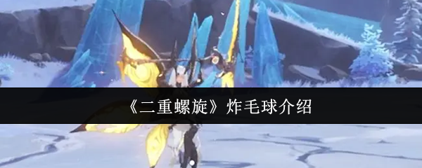 二螺旋炸毛球怎么样 是否应该培养有自己的看法