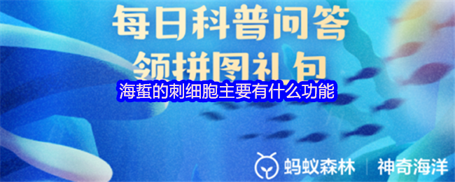 2025 今天蚂蚁新村支付宝正确答案大全