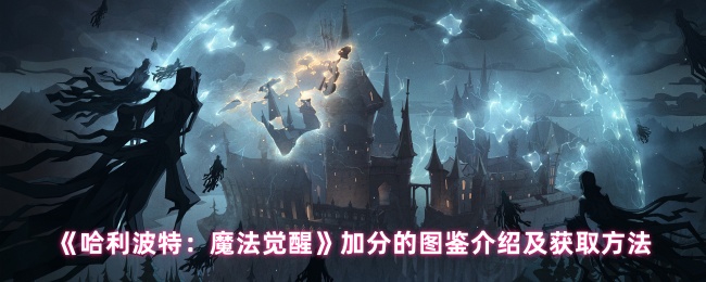 哈利波特魔法觉醒可以加分的图片是什么