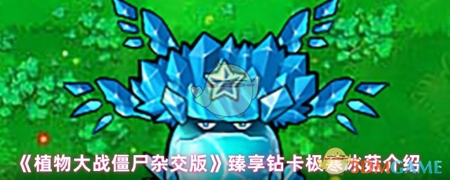 植物大战僵尸杂交版真享钻卡极寒冰菇怎么样
