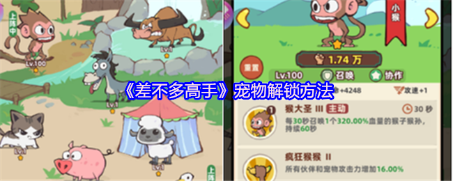 “几乎大师”宠物解锁方法