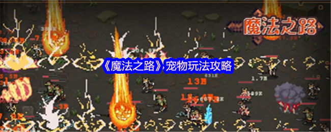 《魔法之路》宠物游戏策略