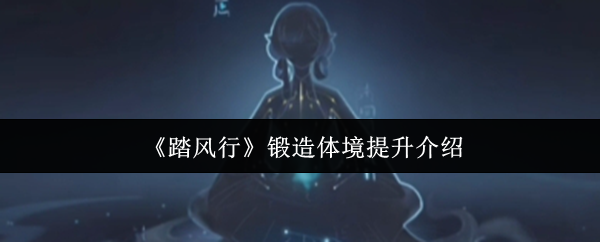 “踏风行”锻造体境改善介绍