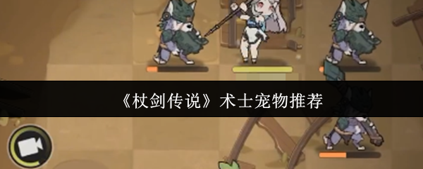 魔杖剑传奇术士宠物哪个更好