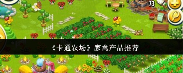 卡通农场哪种家禽产品好