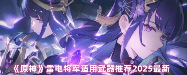 2025年原神雷电将军最新武器搭配策略