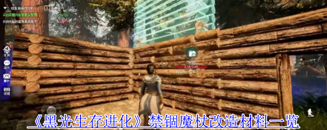 黑光生存进化囚禁魔杖改造材料清单