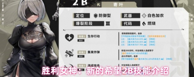 胜利女神的新希望2B技能是什么