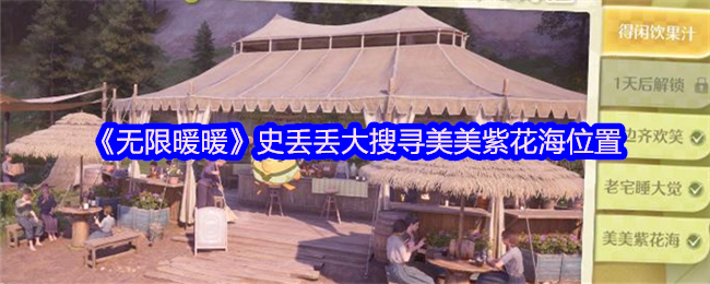 史丢大搜索美丽紫花海的位置分享