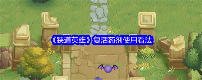 狭道英雄复活药的使用意见!