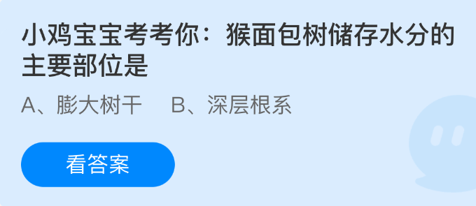 鸡宝宝测试你:猴面包树储存水的主要部分是什么?