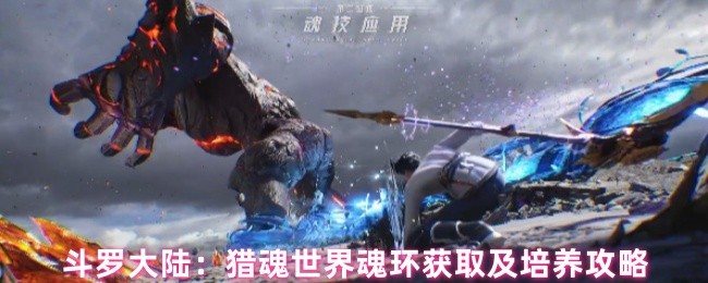 如何获得斗罗大陆猎魂世界魂环