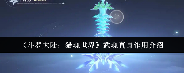 斗罗大陆猎魂世界武魂真身有什么用