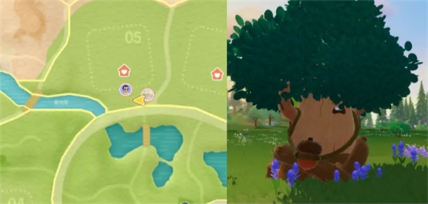 心动小镇11.7溜溜橡木与无瑕萤石位置