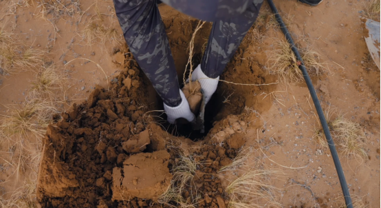 《无尽的拉格朗日》四年坚守初心，在荒漠植下五万株绿色希望！