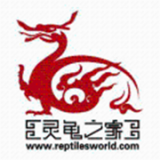 灵龟之家 最新版