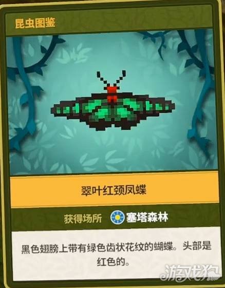 潜水员戴夫丛林DLC全昆虫图鉴一览-12