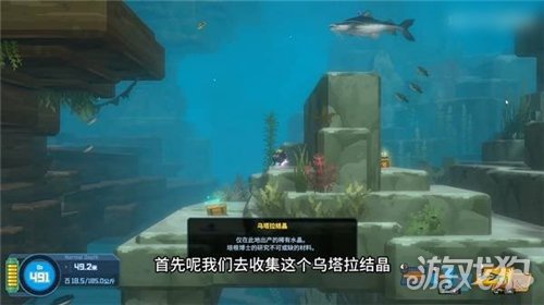 潜水员戴夫丛林DLC怎么抓大型鱼类-1