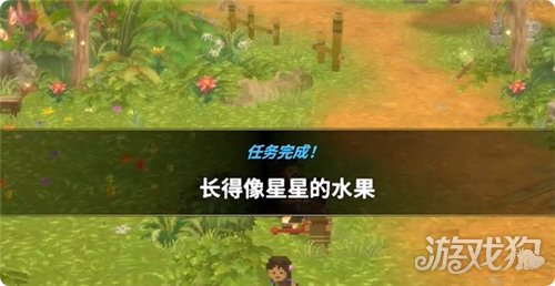 潜水员戴夫丛林DLC长得像星星的水果任务攻略-3