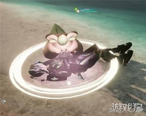 幻兽帕鲁达鼠泥捕获攻略-3
