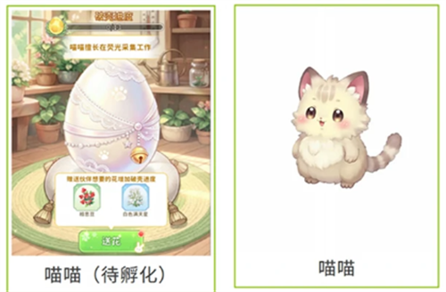 织梦森林伙伴获取方法说明