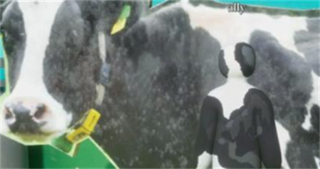 超级变色龙全图隐蔽点位推荐
